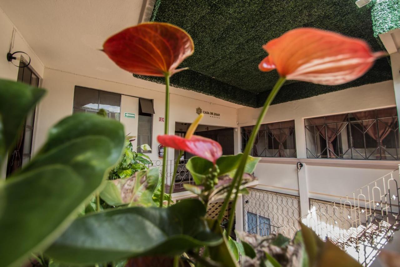 Casa De Juan Hostal Xalapa Exterior photo